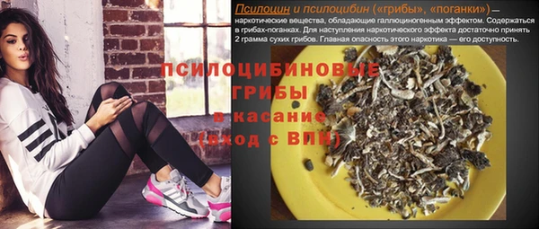 крисы Осташков