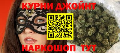 гидра Заводоуковск