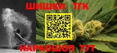 гидра Заводоуковск
