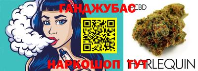 гидра Заводоуковск