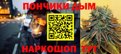 гидра Заводоуковск