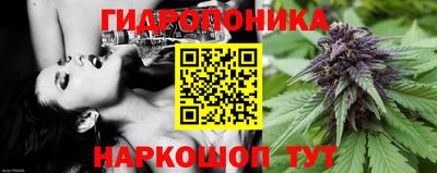 молекула духа Заволжье
