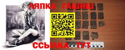 гидра Заводоуковск