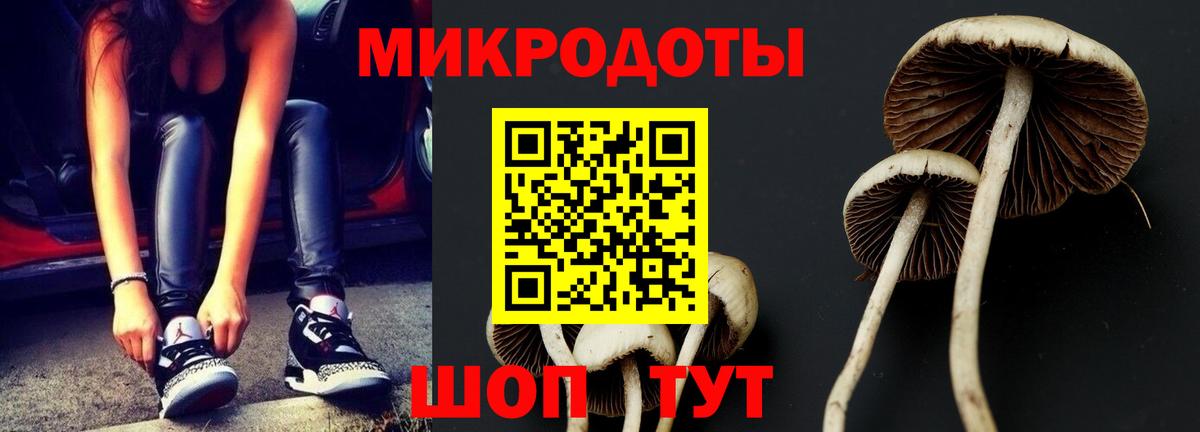 Галлюциногенные грибы Cubensis  Унеча 